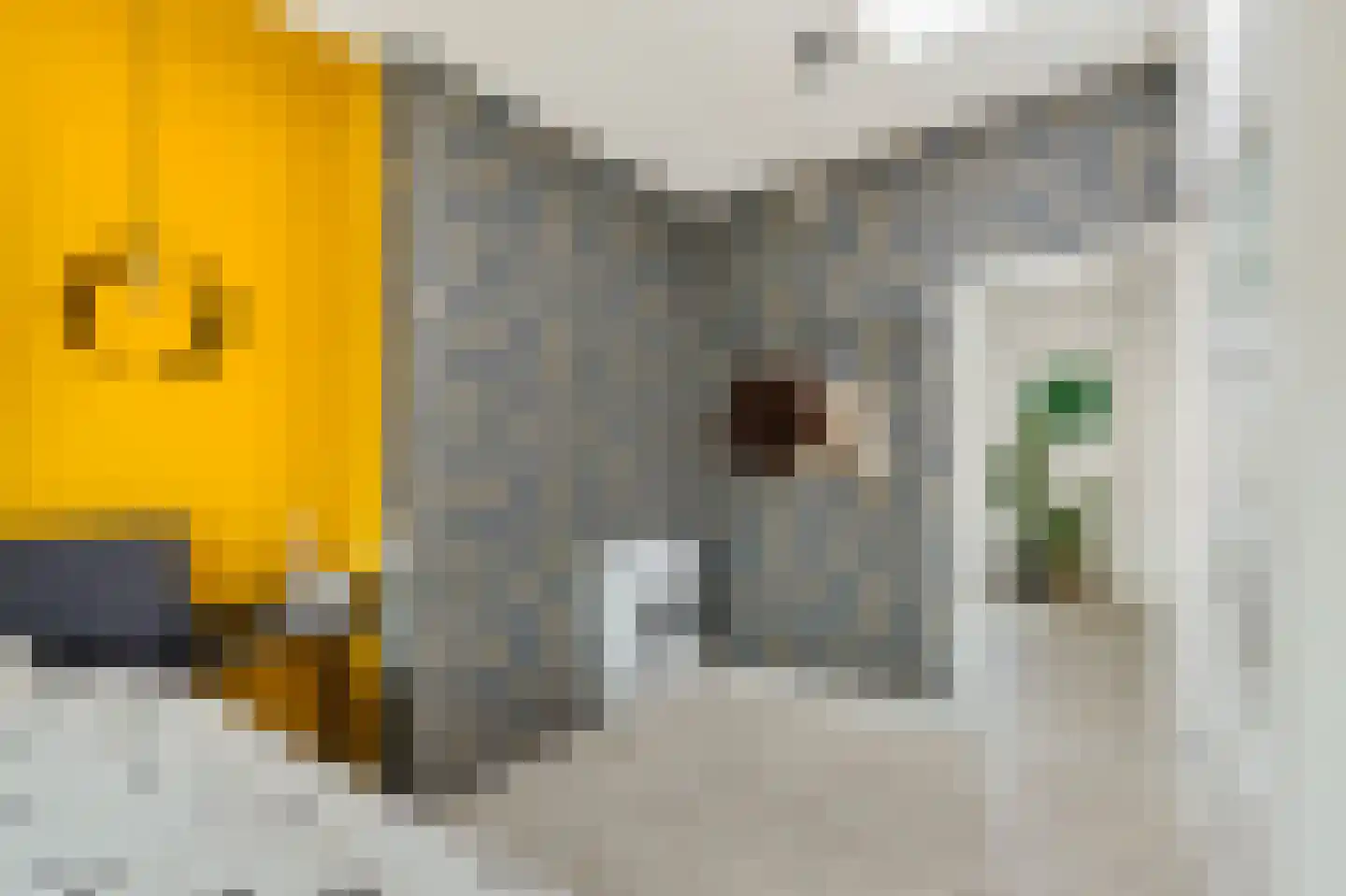 Minahassastraat 15 BS Utrecht thumbnail 24