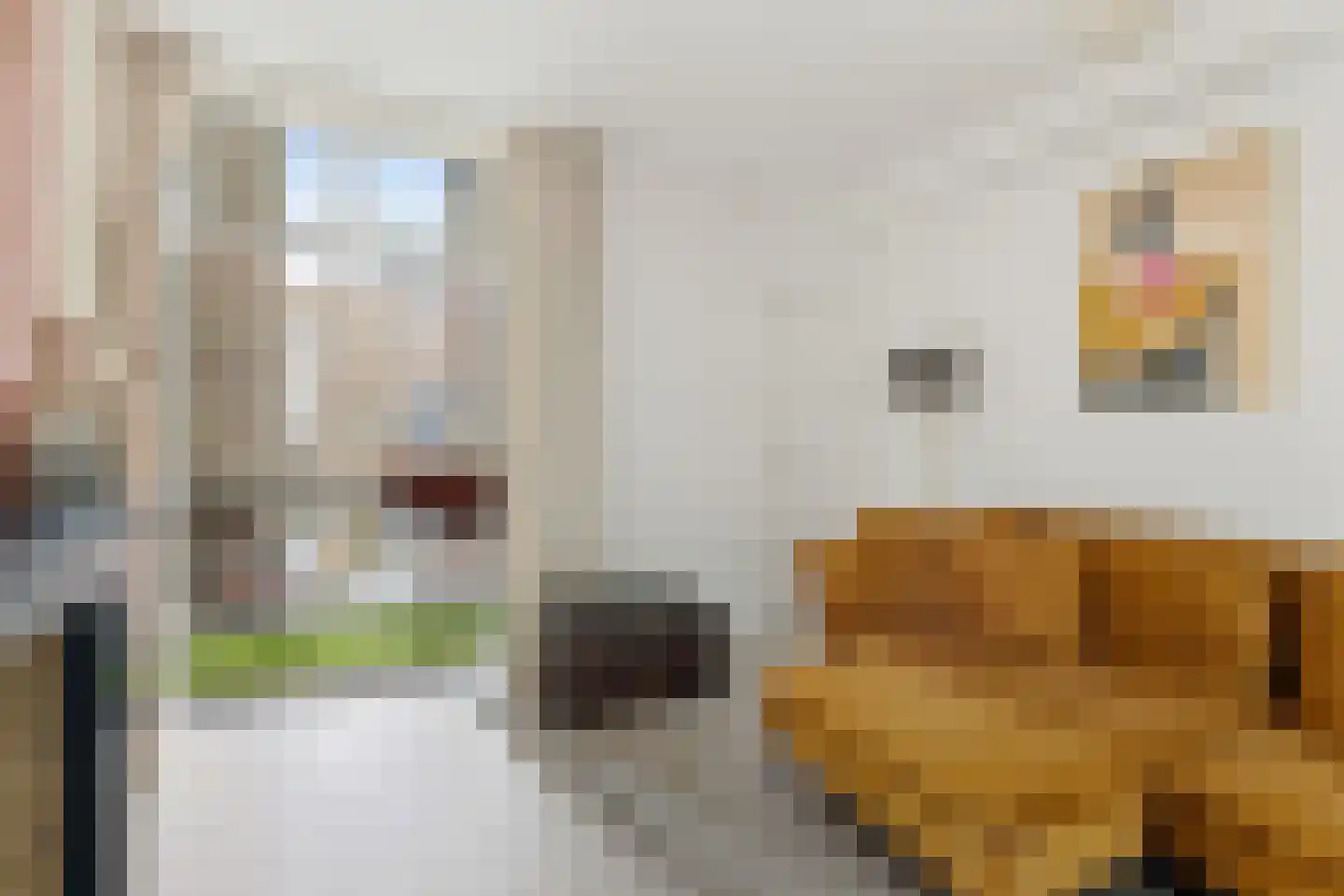 Minahassastraat 15 BS Utrecht thumbnail 6