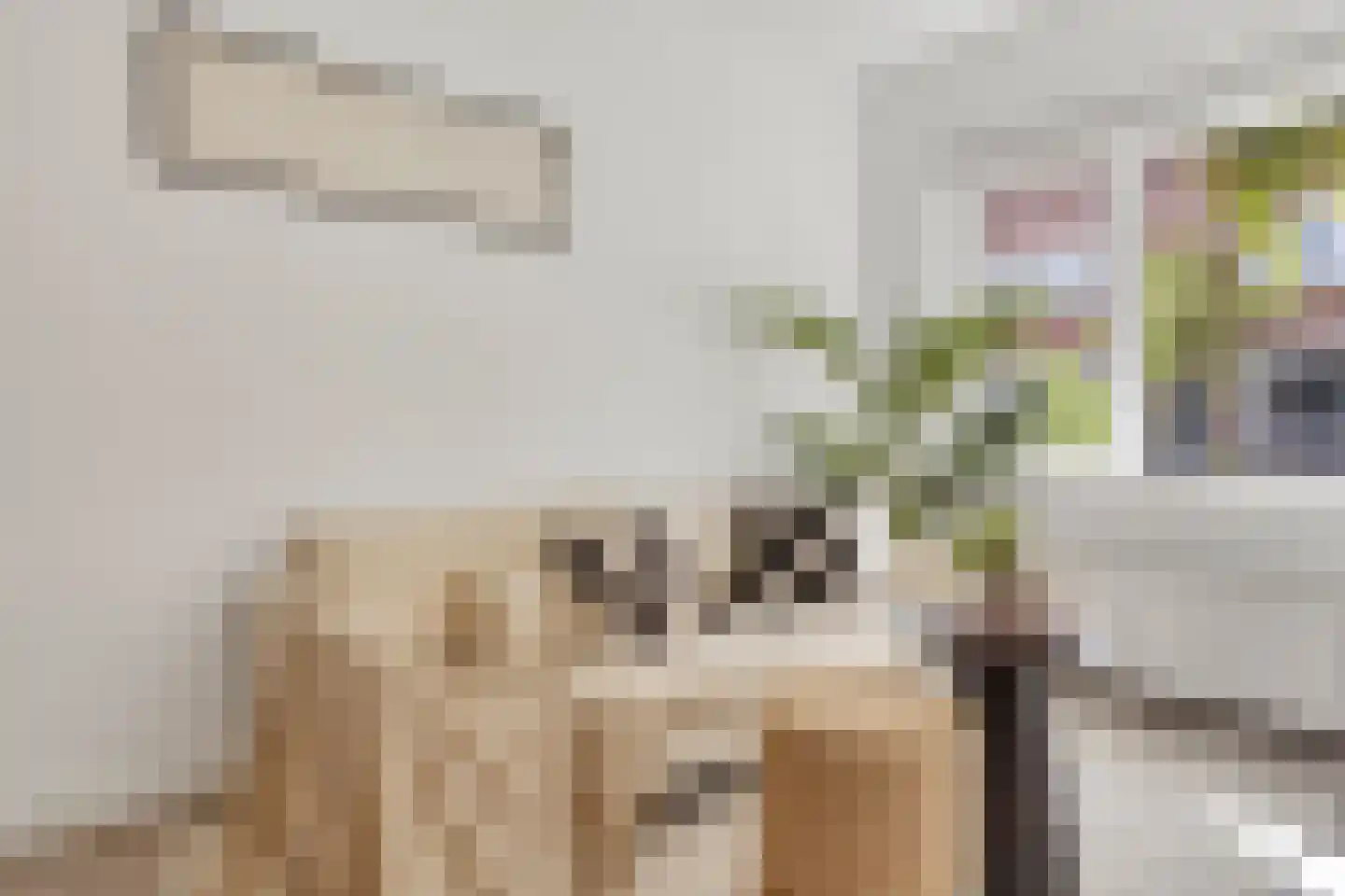 Minahassastraat 19 Utrecht thumbnail 10