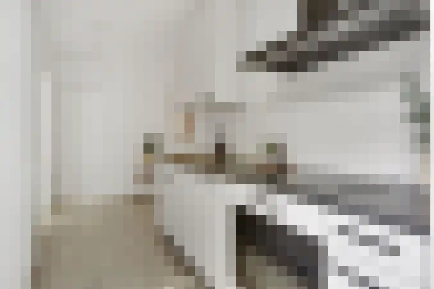 Minahassastraat 19 Utrecht thumbnail 20