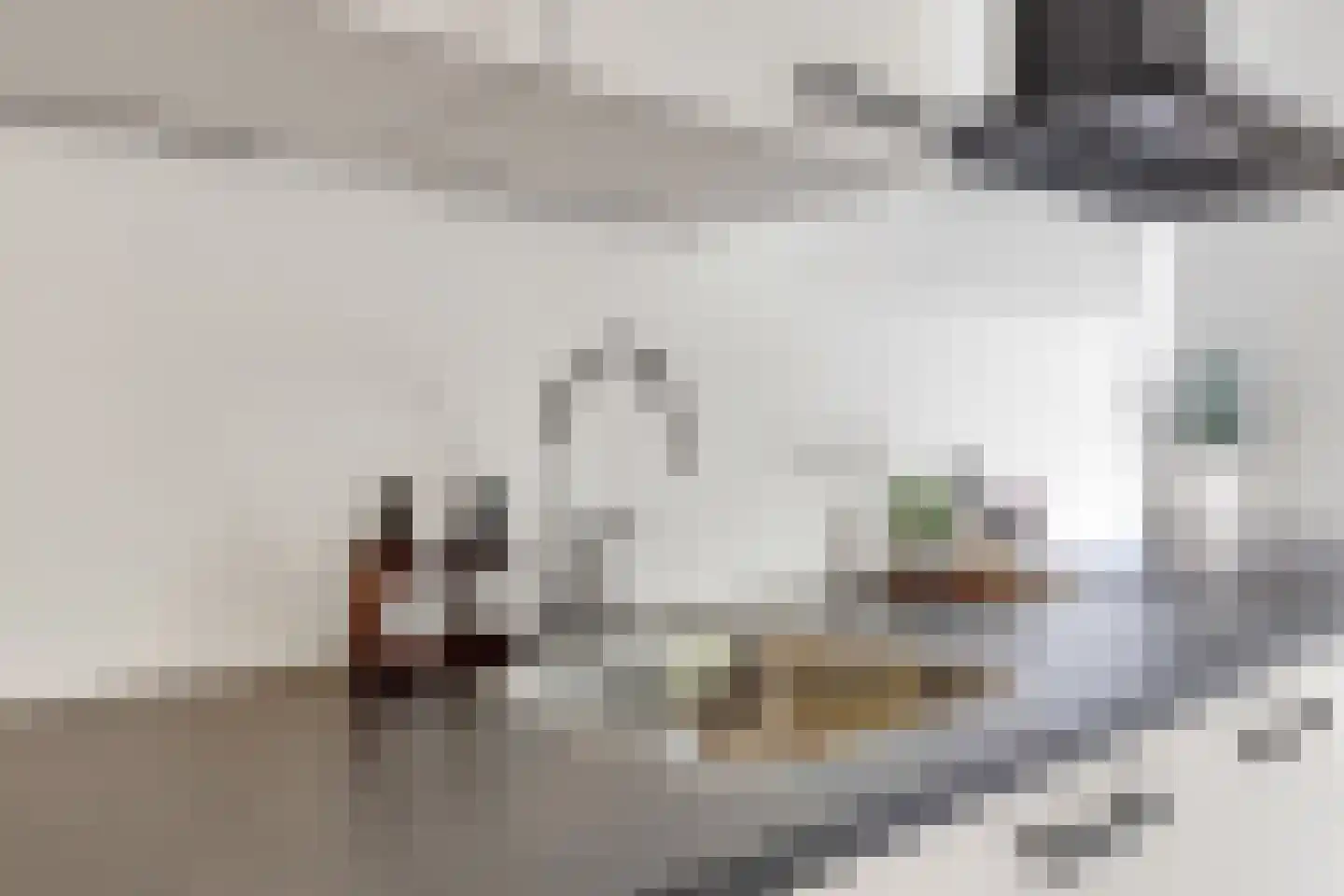 Minahassastraat 19 Utrecht thumbnail 21