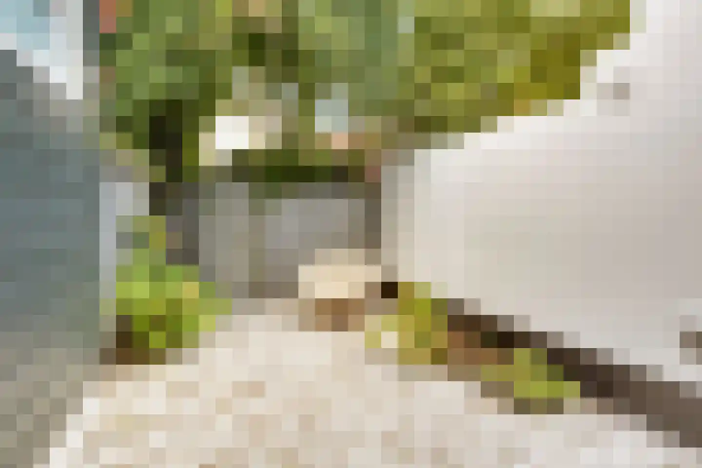 Minahassastraat 19 Utrecht thumbnail 31