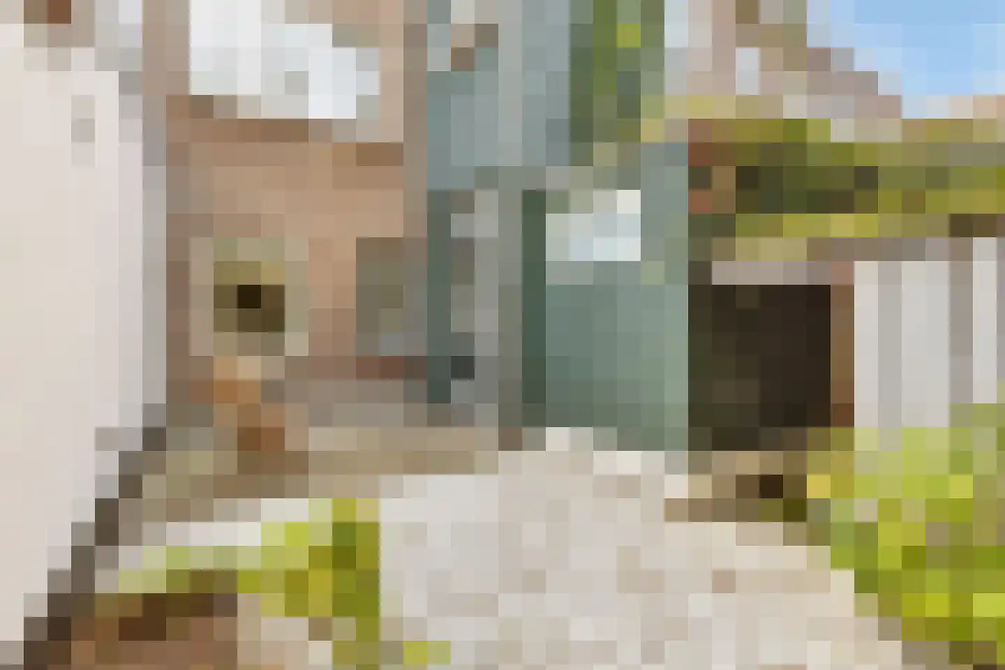 Minahassastraat 19 Utrecht thumbnail 33