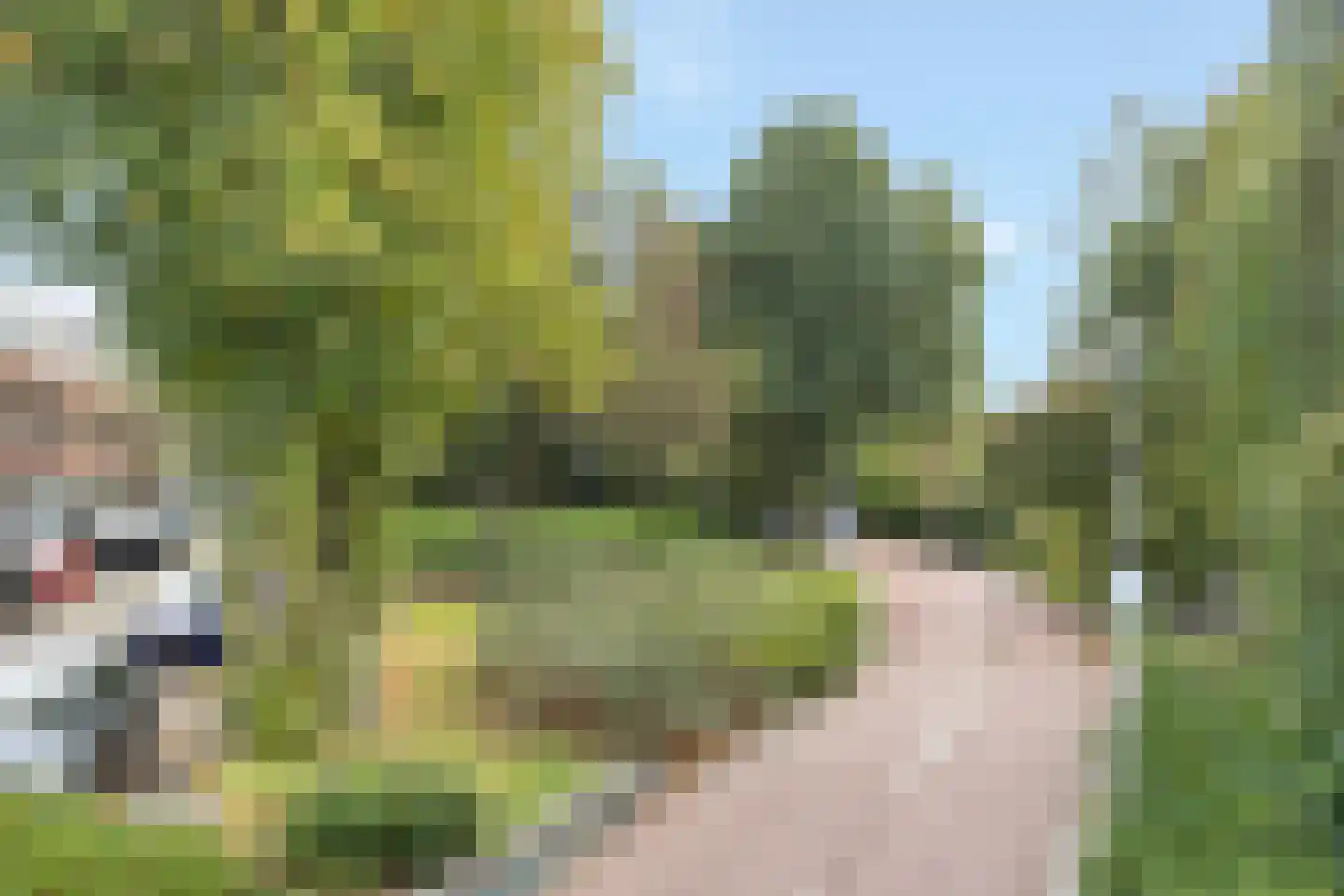 Minahassastraat 19 Utrecht thumbnail 36