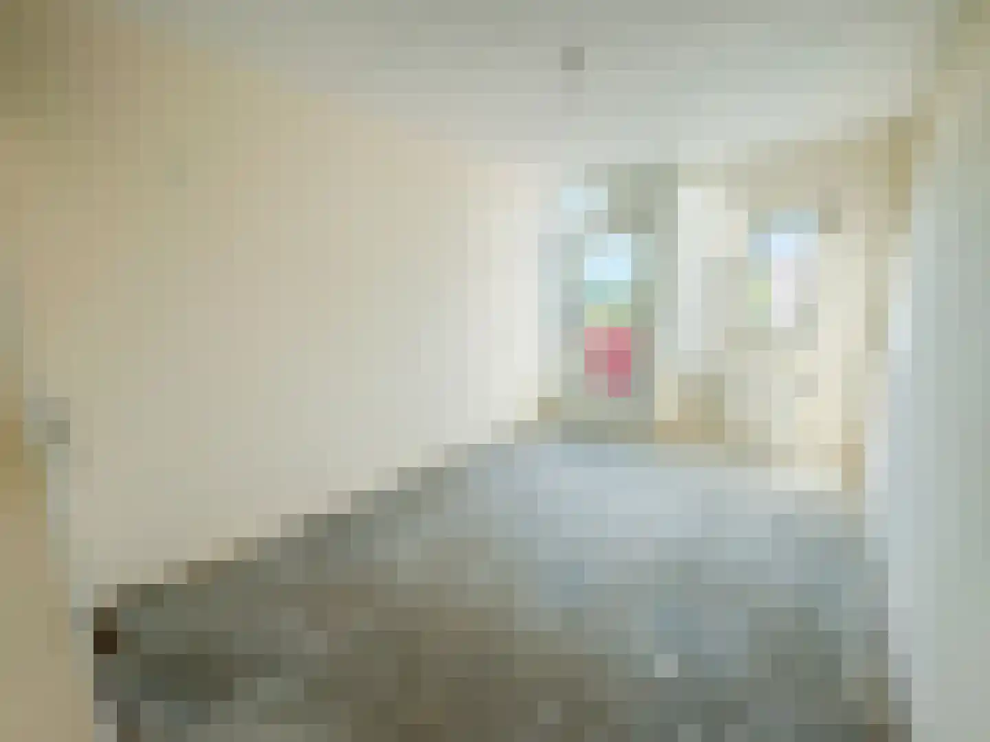 Minahassastraat 21 Amsterdam thumbnail 11