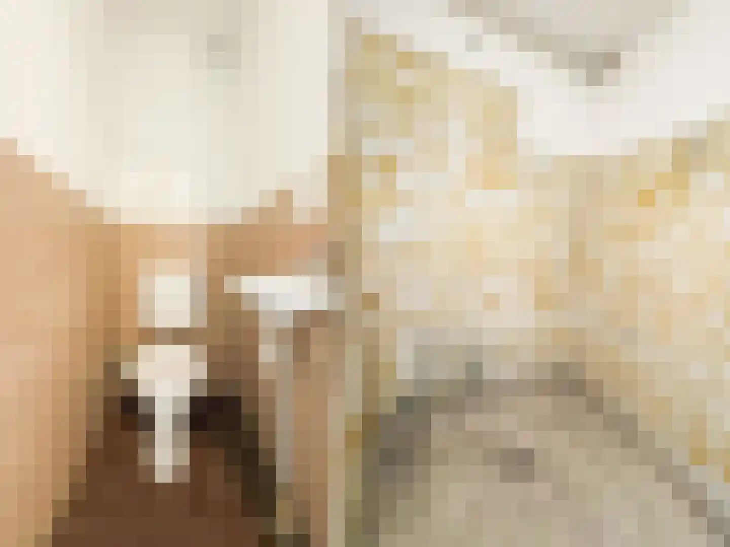 Minahassastraat 21 Amsterdam thumbnail 18