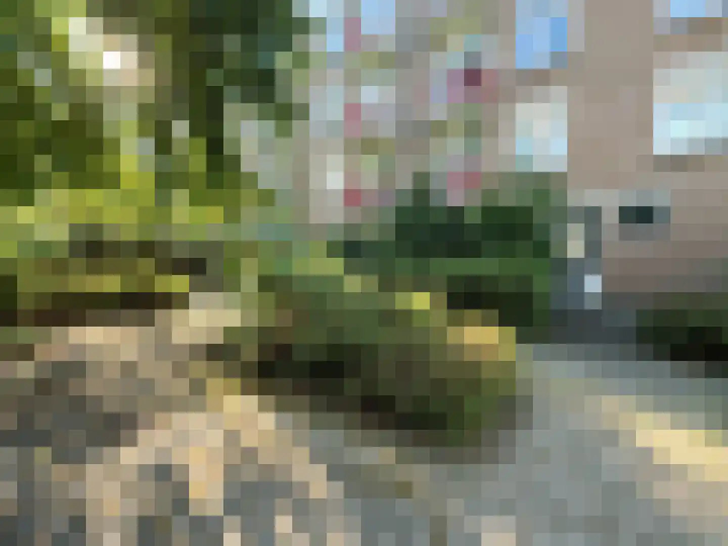 Minahassastraat 21 Amsterdam thumbnail 22