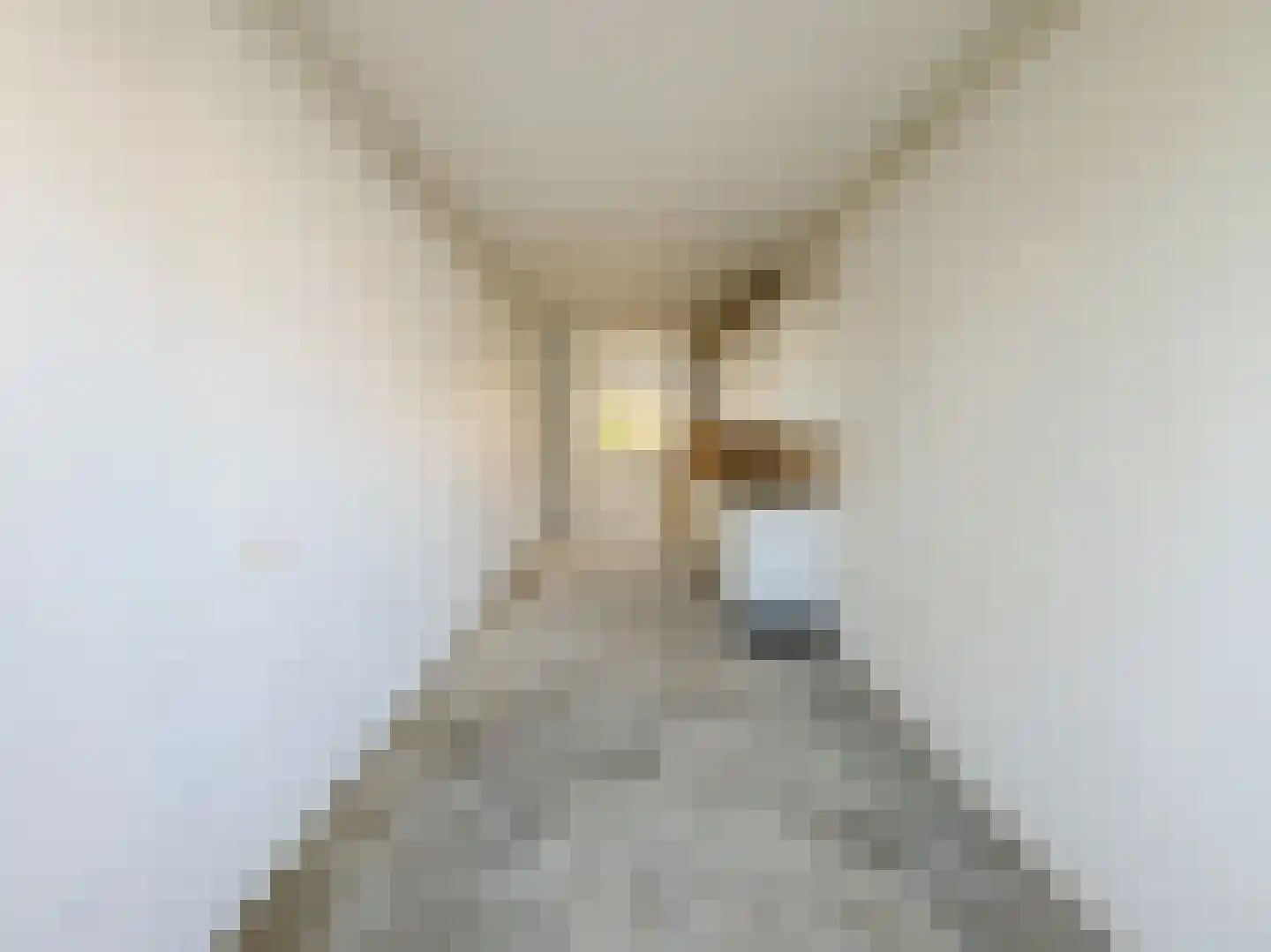 Minahassastraat 21 Amsterdam thumbnail 7