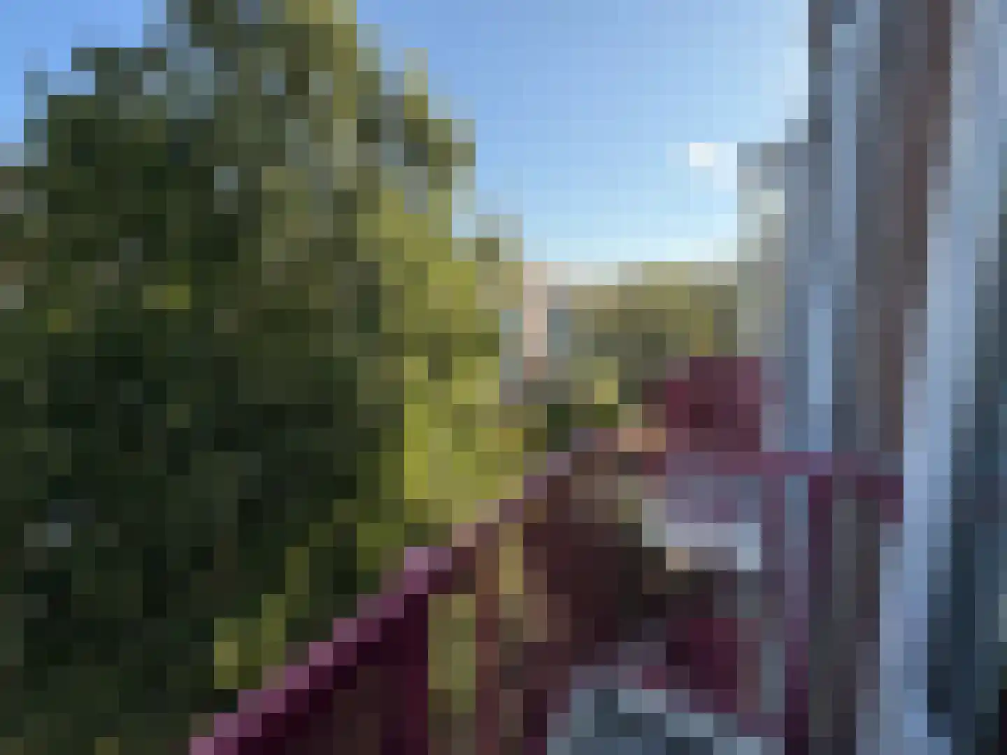 Minahassastraat 21 Amsterdam thumbnail 8