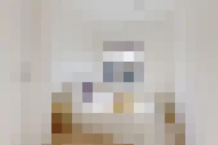 Minahassastraat 21 BS Utrecht thumbnail 19