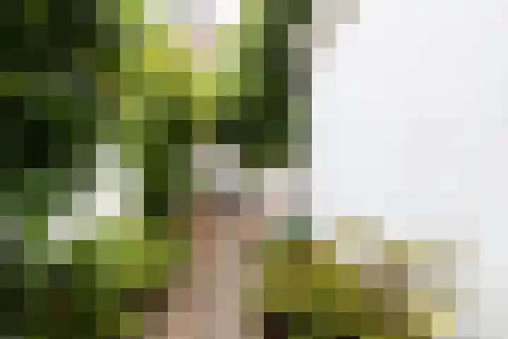 Minahassastraat 21 Utrecht thumbnail 13