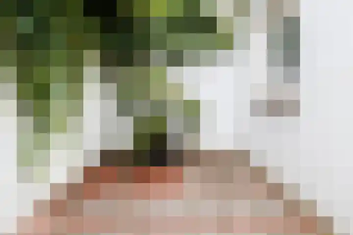 Minahassastraat 21 Utrecht thumbnail 14