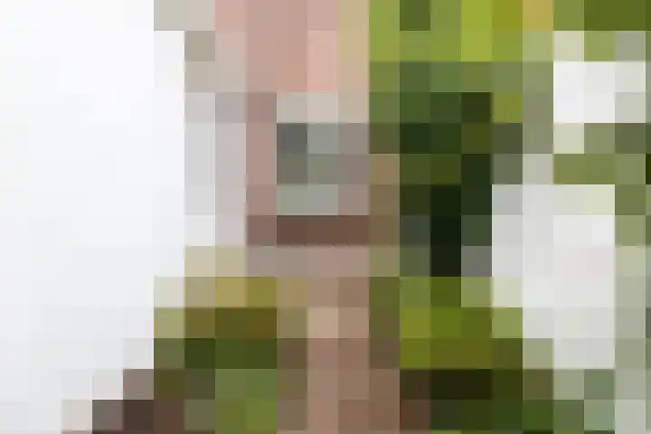 Minahassastraat 21 Utrecht thumbnail 15