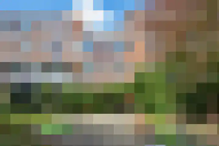 Minahassastraat 22 C Amsterdam thumbnail 12