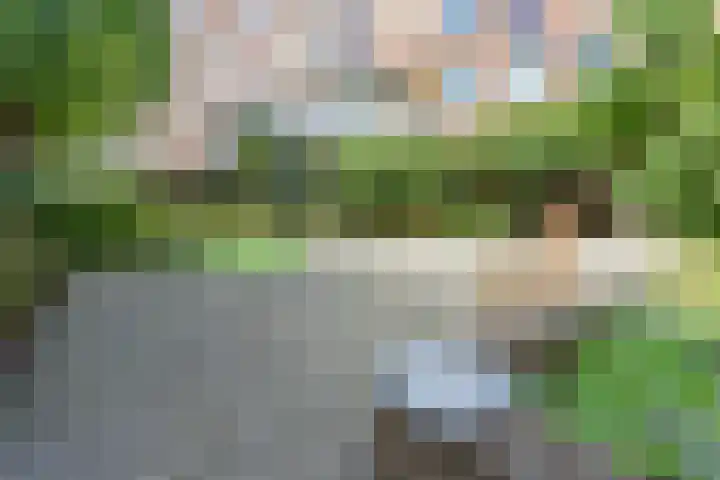Minahassastraat 22 C Amsterdam thumbnail 14