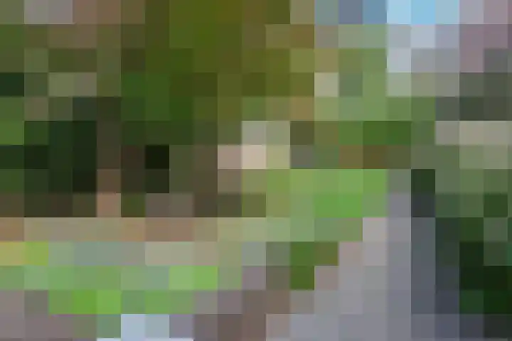 Minahassastraat 22 C Amsterdam thumbnail 15