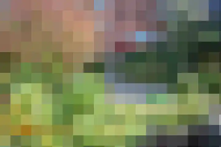 Minahassastraat 22 C Amsterdam thumbnail 9