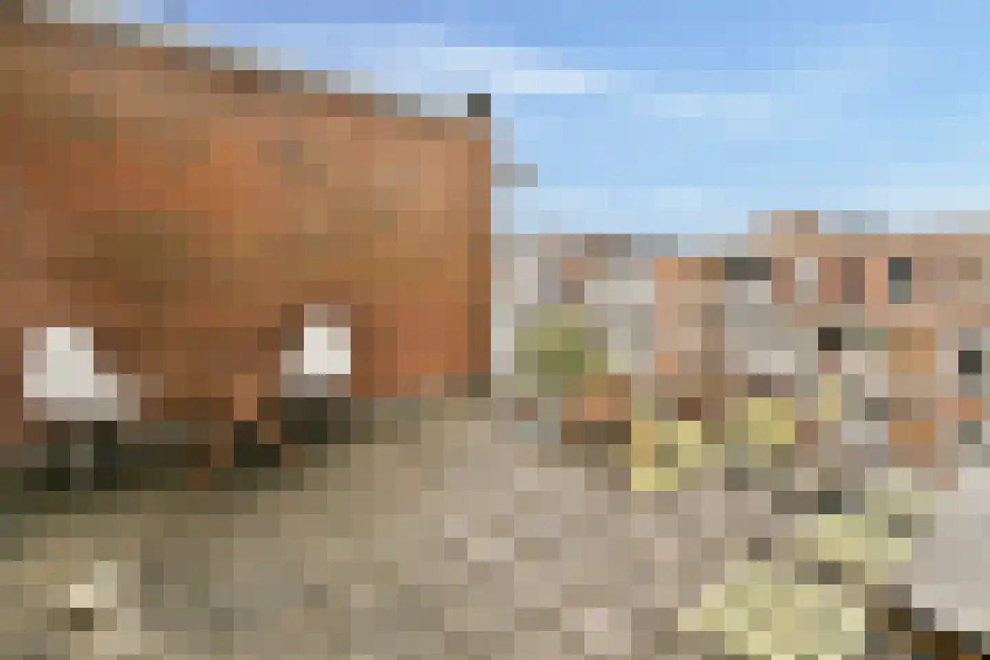 Minahassastraat 24 B Amsterdam thumbnail 14