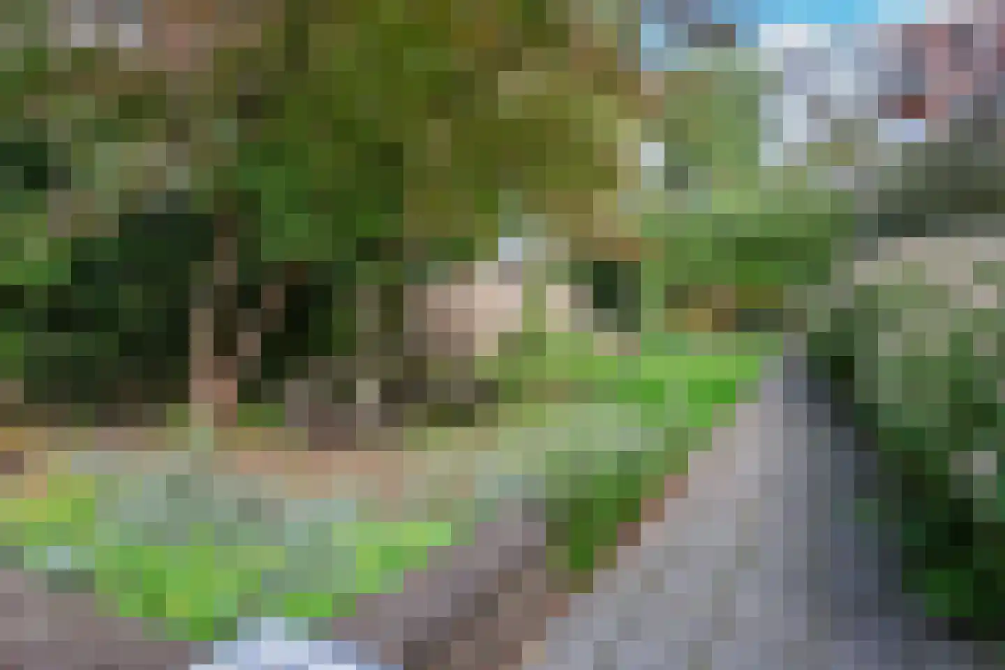 Minahassastraat 24 B Amsterdam thumbnail 18