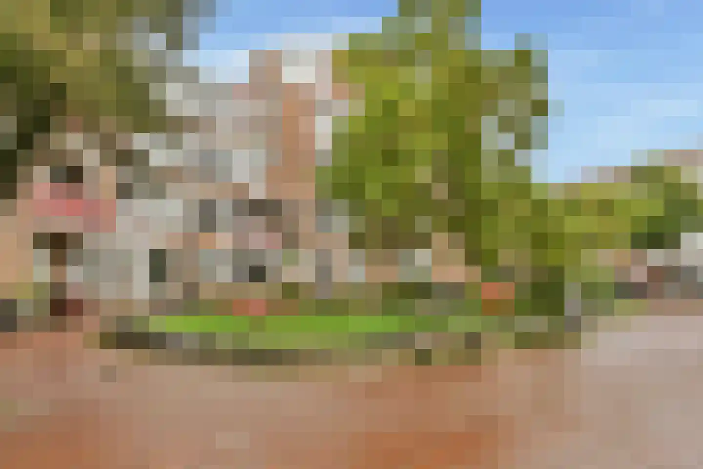 Minahassastraat 24 B Amsterdam thumbnail 19