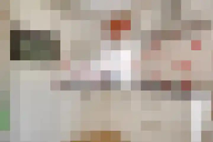 Minahassastraat 29 BS Utrecht thumbnail 18