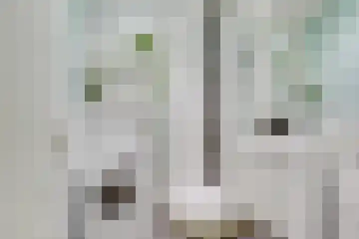Minahassastraat 29 BS Utrecht thumbnail 25