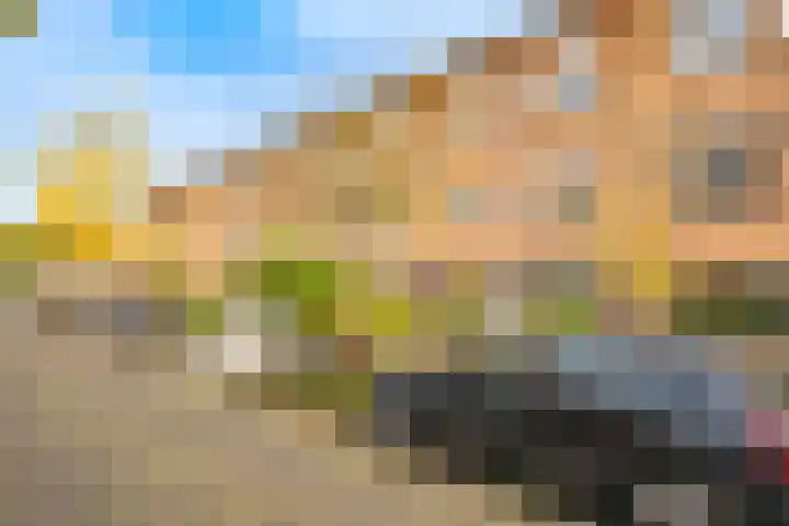 Minahassastraat 29 BS Utrecht thumbnail 31