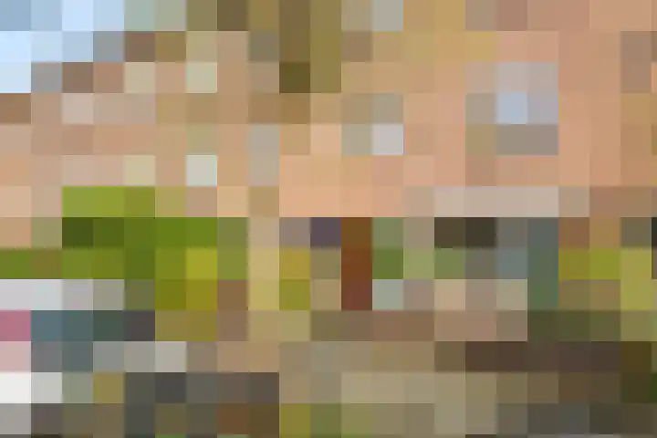 Minahassastraat 29 BS Utrecht thumbnail 32