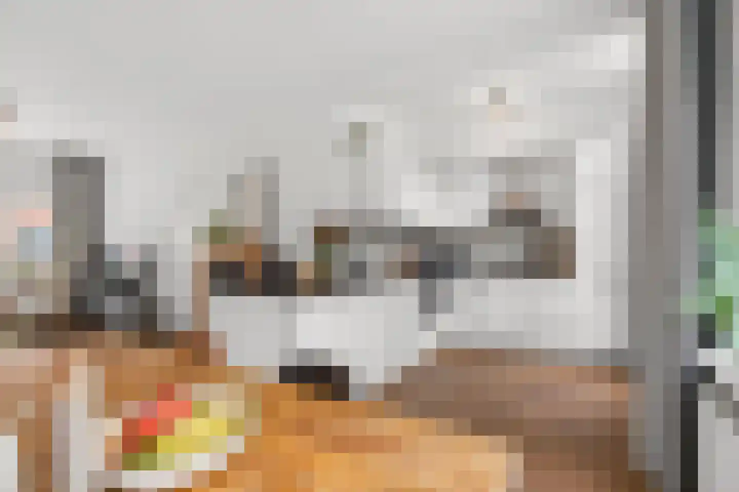 Minahassastraat 3 BS Utrecht thumbnail 5