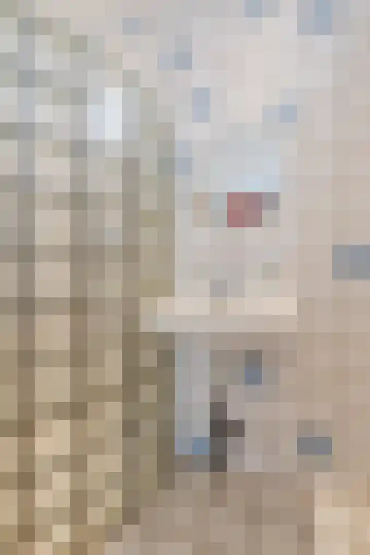 Minahassastraat 32 Utrecht thumbnail 20