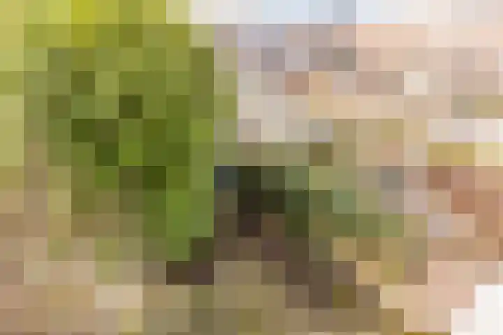 Minahassastraat 32 Utrecht thumbnail 35