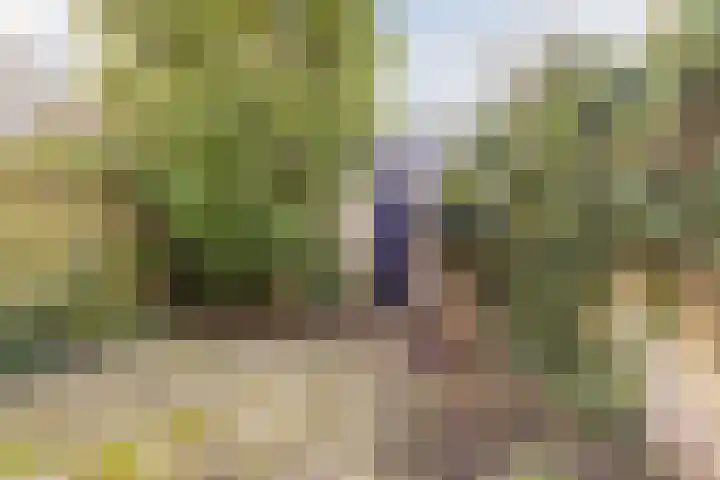 Minahassastraat 32 Utrecht thumbnail 36