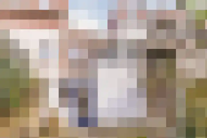 Minahassastraat 32 Utrecht thumbnail 39