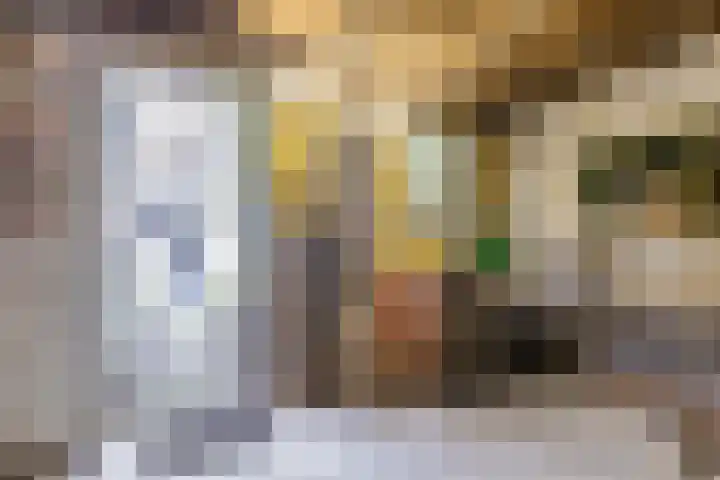 Minahassastraat 32 Utrecht thumbnail 41