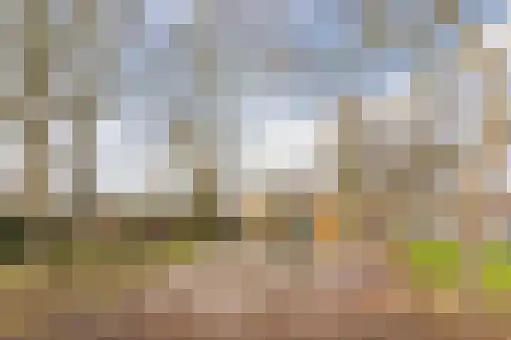 Minahassastraat 32 Utrecht thumbnail 47