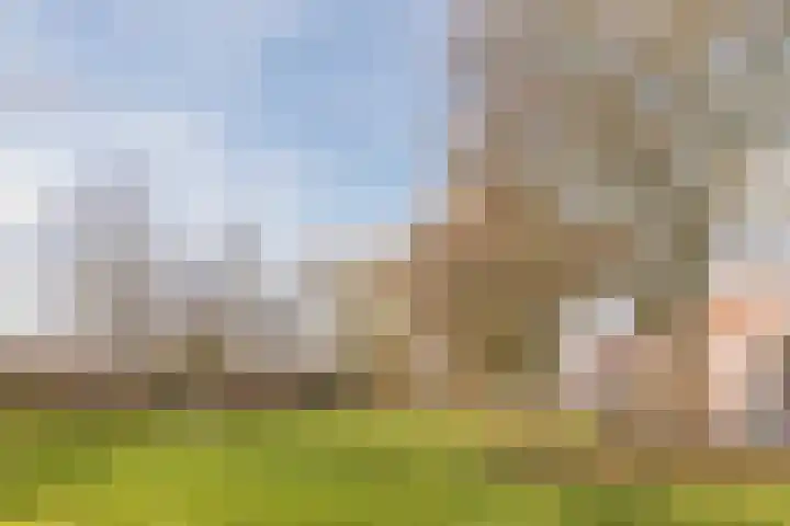 Minahassastraat 32 Utrecht thumbnail 48