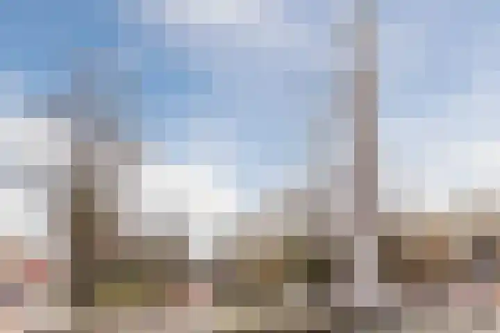 Minahassastraat 32 Utrecht thumbnail 51