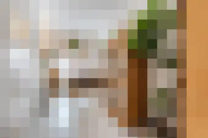 Minahassastraat 33 BS Utrecht thumbnail 14