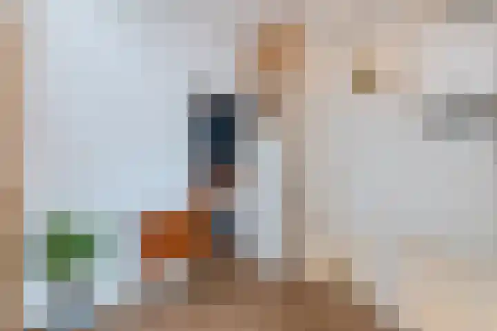 Minahassastraat 33 BS Utrecht thumbnail 26