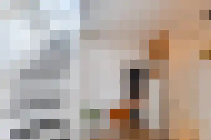Minahassastraat 33 BS Utrecht thumbnail 35