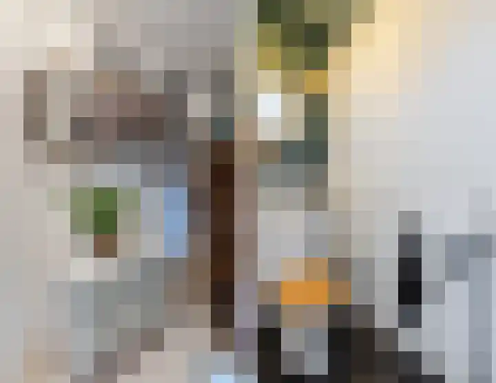 Minahassastraat 33 BS Utrecht thumbnail 42