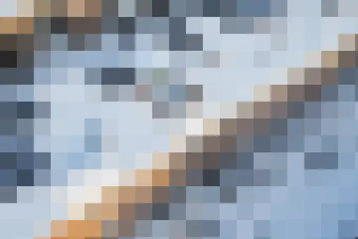 Minahassastraat 33 BS Utrecht thumbnail 47