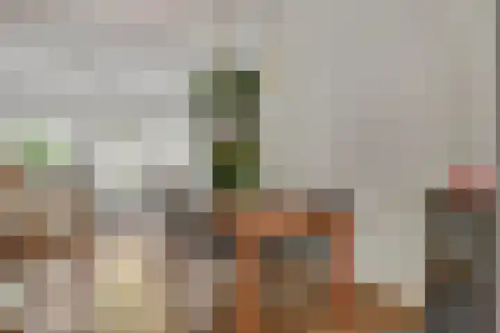 Minahassastraat 40 Utrecht thumbnail 10