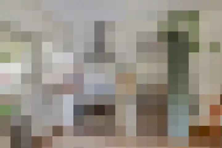 Minahassastraat 40 Utrecht thumbnail 12