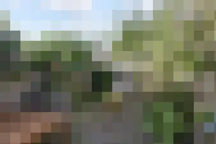 Minahassastraat 40 Utrecht thumbnail 16