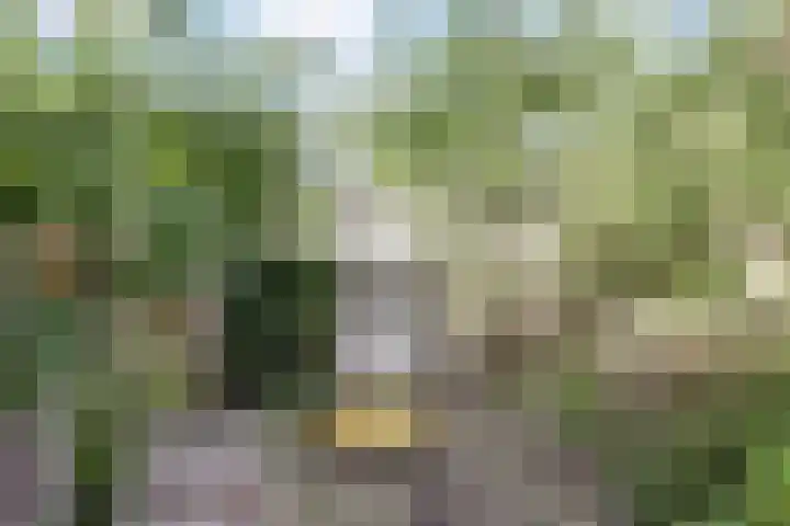 Minahassastraat 40 Utrecht thumbnail 17