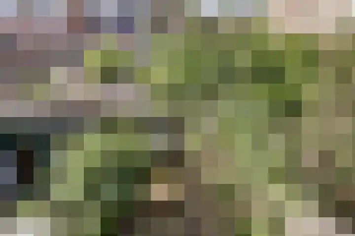 Minahassastraat 40 Utrecht thumbnail 18