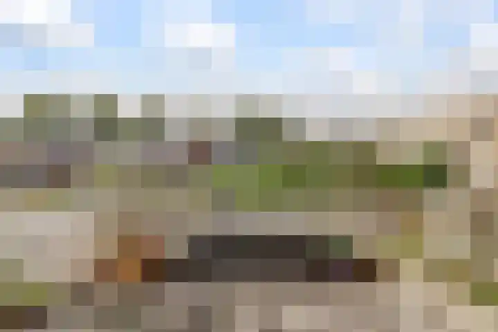 Minahassastraat 40 Utrecht thumbnail 22
