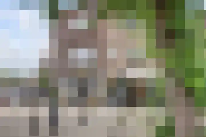 Minahassastraat 40 Utrecht thumbnail 31