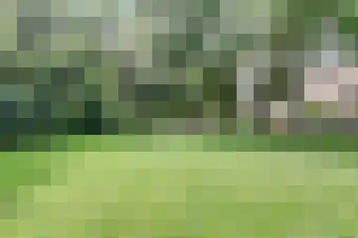 Minahassastraat 40 Utrecht thumbnail 32